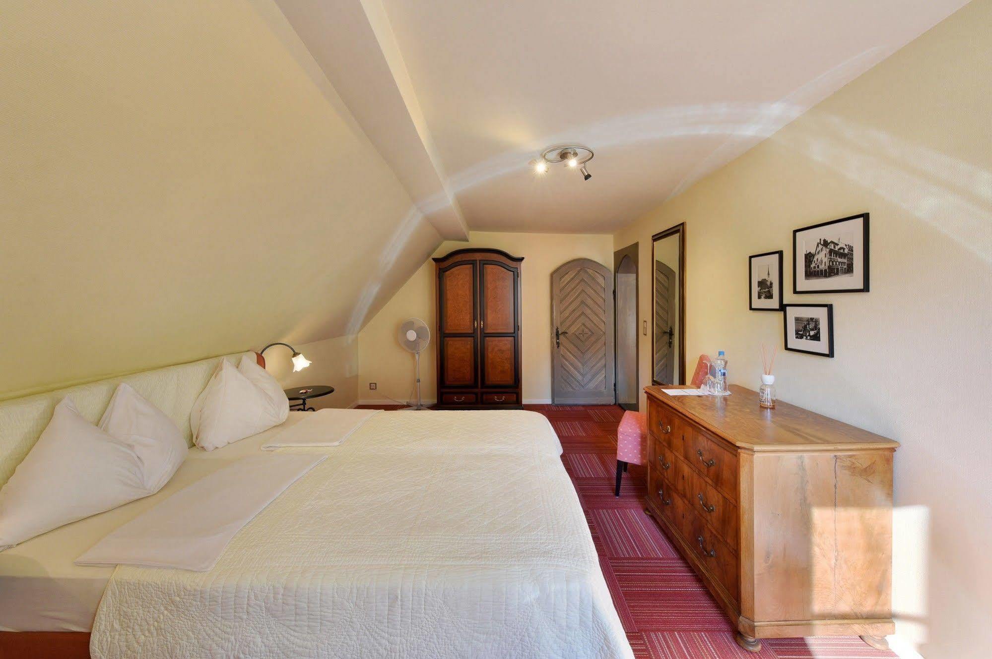 Romantik Hotel Schwan Horgen Εξωτερικό φωτογραφία